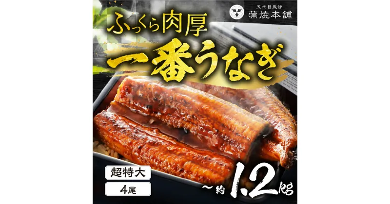 【ふるさと納税】 ふっくら肉厚！一番うなぎ 超特大 4尾 鰻 国産 タレ付 セット 厳選 超絶うなぎ ウナギ 蒲焼 かば焼き 丑の日 高級 特産品 ふっくら お取り寄せ うな重 うな丼 ひつまぶし 冷凍内祝い お中元 お歳暮 愛知県 豊橋市 55000円