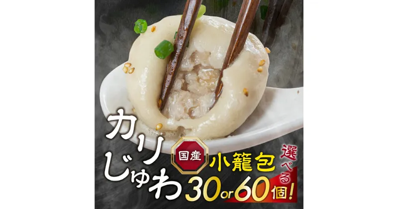 【ふるさと納税】国産 焼小籠包 数量選べる 30個 or 60個 小籠包 中華 おかず 冷凍　簡単調理　本格　肉汁 点心 食品 冷凍 業務用 簡単 お手軽 晩ごはん 大容量 選べる 訳あり 絶品 国産 国産豚肉 たっぷり 愛知県 豊橋市 10000円 15000円 1万円 1万5千円