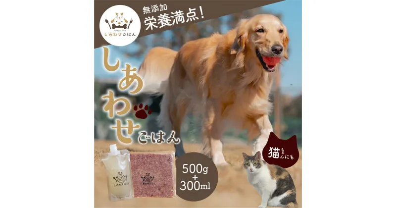 【ふるさと納税】犬猫用 ペットローフード＆スープ セット (500g+300ml) 命のリレー ペットフード 無添加 ローフード ドッグフード キャットフード こだわり 手作り 犬用 猫用 犬 猫 いぬ ねこ ペット 健康 愛 知県 豊橋市 13000円