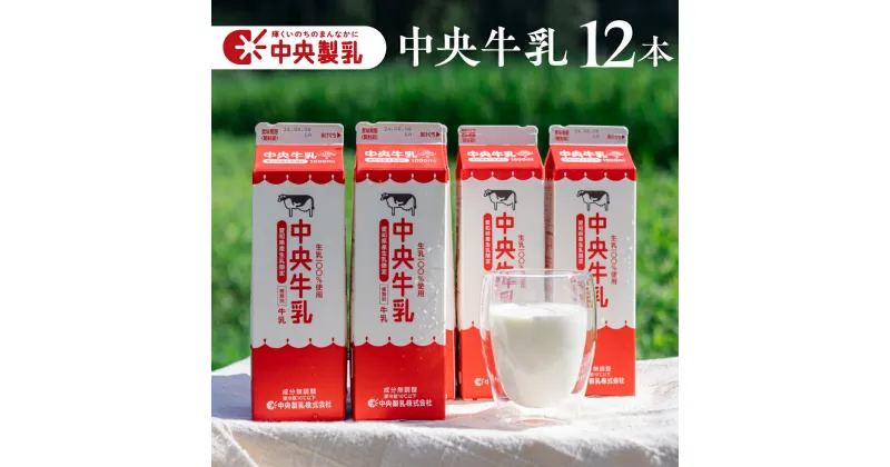 【ふるさと納税】中央製乳 中央牛乳 1L 12本 計12L 牛乳 ミルク 成分無調整 牛乳 新鮮 生乳100%使用 愛知産生乳限定 大容量 給食 愛知県産 国産 牛乳 送料無料