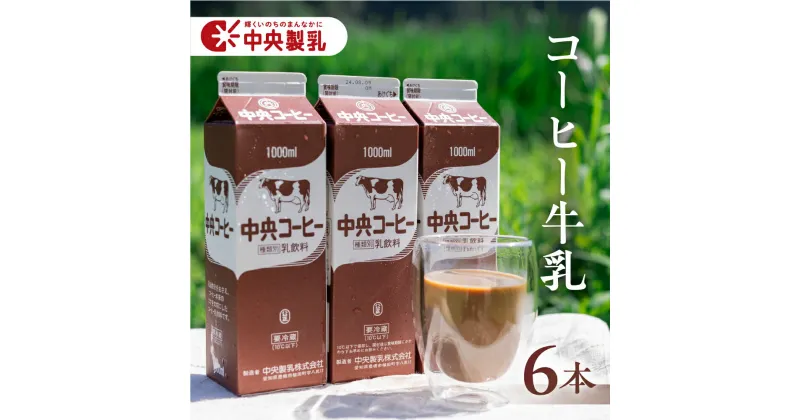 【ふるさと納税】中央製乳 中央コーヒー 1L 6本 計6L 濃い おいしい 乳飲料 新鮮 生乳100%使用 大容量 愛知県産 国産 コーヒーミルク コーヒー牛乳 珈琲 牛乳 送料無料