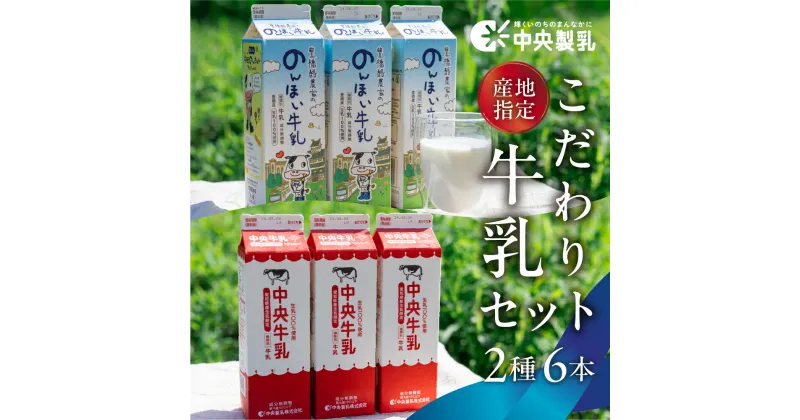 【ふるさと納税】 中央製乳 こだわり 牛乳セット 2種6本 1L 計6L 牛乳 ミルク 成分無調整 牛乳 新鮮 生乳100%使用 愛知産生乳限定 大容量 給食 愛知県産 国産 牛乳 送料無料