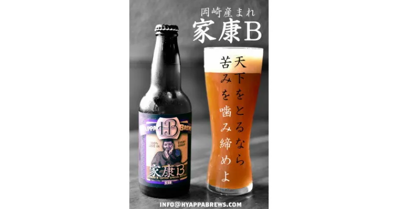 【ふるさと納税】岡崎クラフトビール4本セット【1214769】