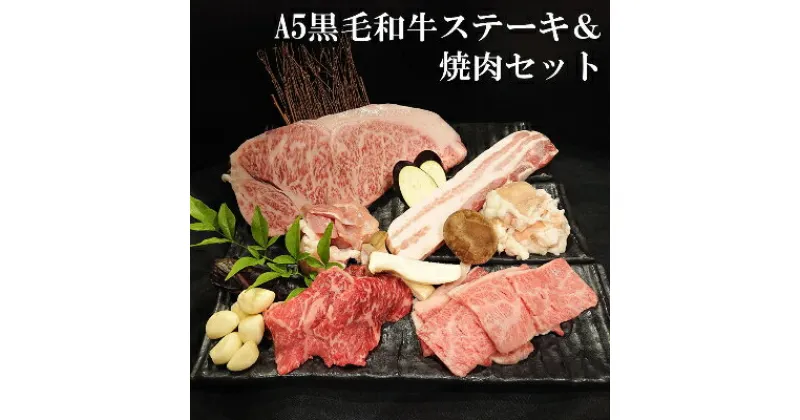 【ふるさと納税】老舗焼肉屋の黒毛和牛ステーキ&焼肉セット1kg【配送不可地域：離島】【1245237】