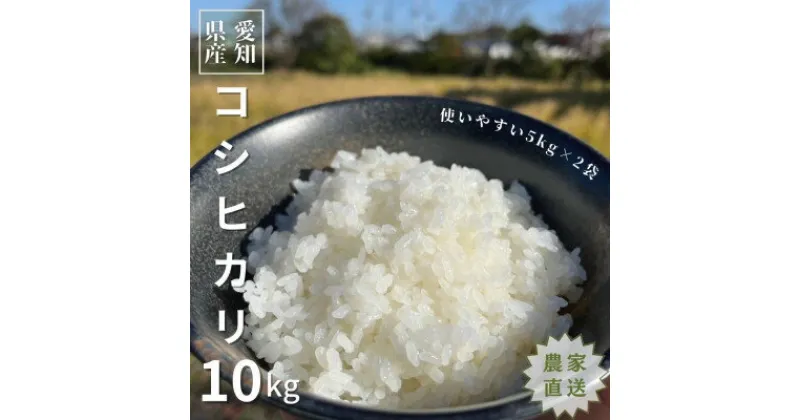 【ふるさと納税】【先行予約中】農家直送!令和6年度産低農薬コシヒカリ10kg(5kg×2袋)【1428167】